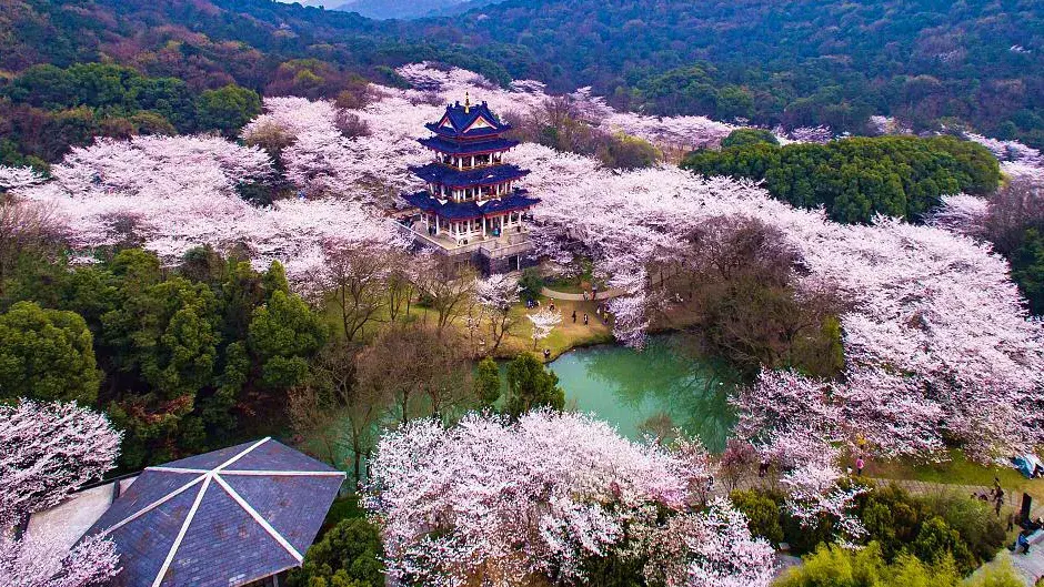 江苏旅游地区的十大景区，你都去过了吗？  -图4