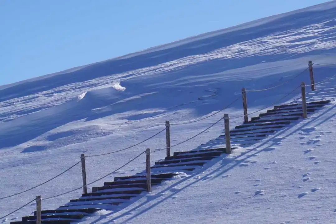 再问一遍，我们什么时候去长白山！  -图19