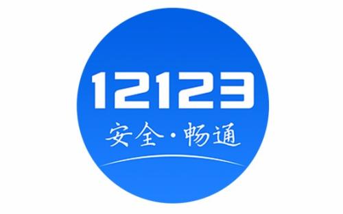 出租车和公司车，交管12123能查违章信息吗？别着急我教你  -图2