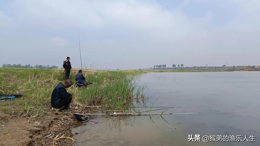 学会这八条“真经”，新手变大师，以后再也不愁钓不到鱼了  -图2