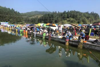 什么味道最吸引青鱼？钓青鱼用什么饵料最好？钓青鱼用花生好吗？  -图2