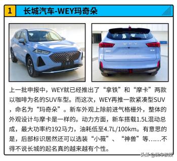 油耗4.6L的长城SUV！这一波新车，每一款都能虐合资？  -图2