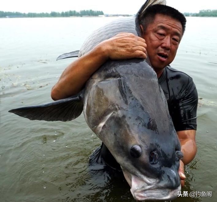 别再说钓鱼是不务正业了，钓鱼也能赚钱，而且赚的还不少  -图2