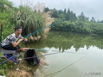 别再说钓鱼是不务正业了，钓鱼也能赚钱，而且赚的还不少  -图4