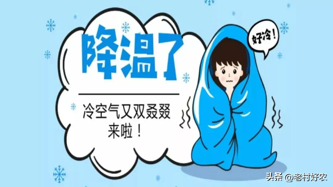 天气预报：2023年春节雨雪多吗？八月初八天气能预兆，看农谚咋说  -图3