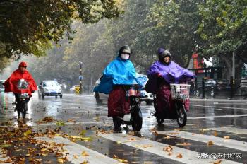 天气预报：2023年春节雨雪多吗？八月初八天气能预兆，看农谚咋说  -图4