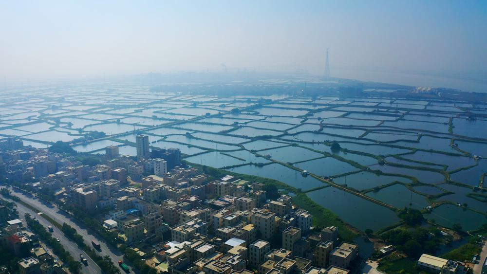 揭阳榕城区激活“人地钱”三大要素，推动集体经济增效群众增收丨……  -图2