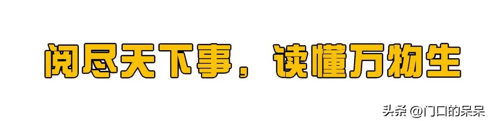 5位被央媒点名批评的明星，知法犯法没人同情，个个都是反面教材  -图1